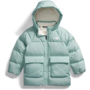 North Face Parka Infantil North Down Com Forro de Lã Polar